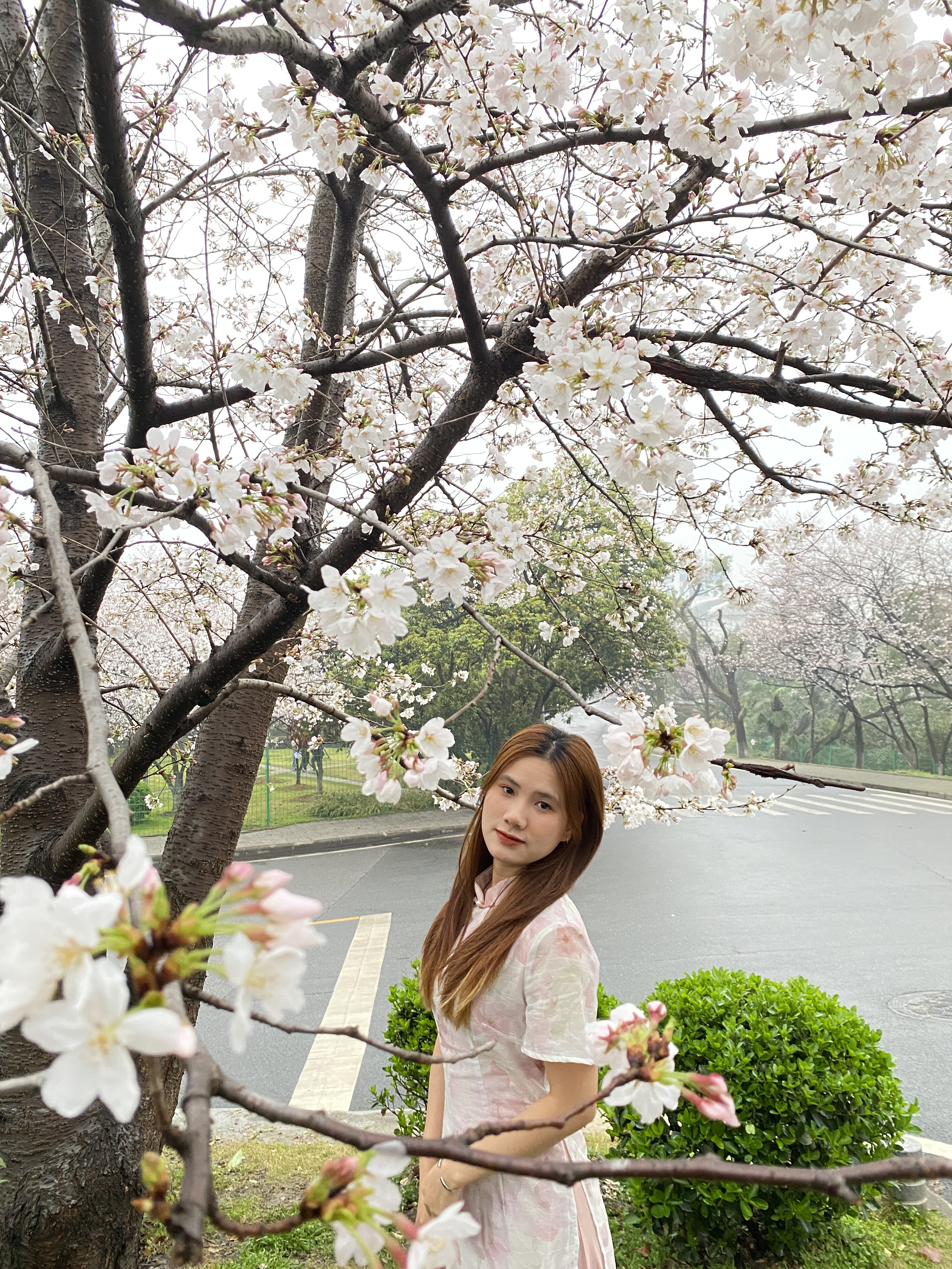 Báº£n sao cá»§a IMG_2213.jpg